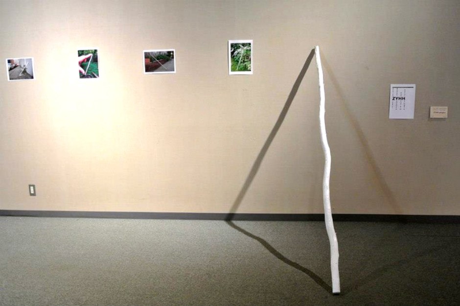 aac_2013_installation